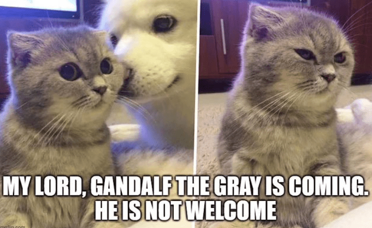 my-lord-gandalf-gray-is-coming-he-is-not-welcome