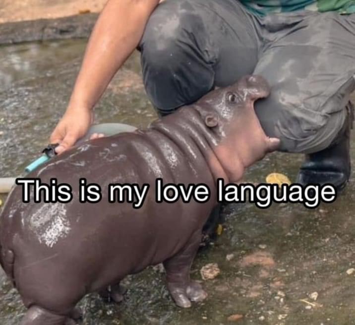 this-is-my-love-language