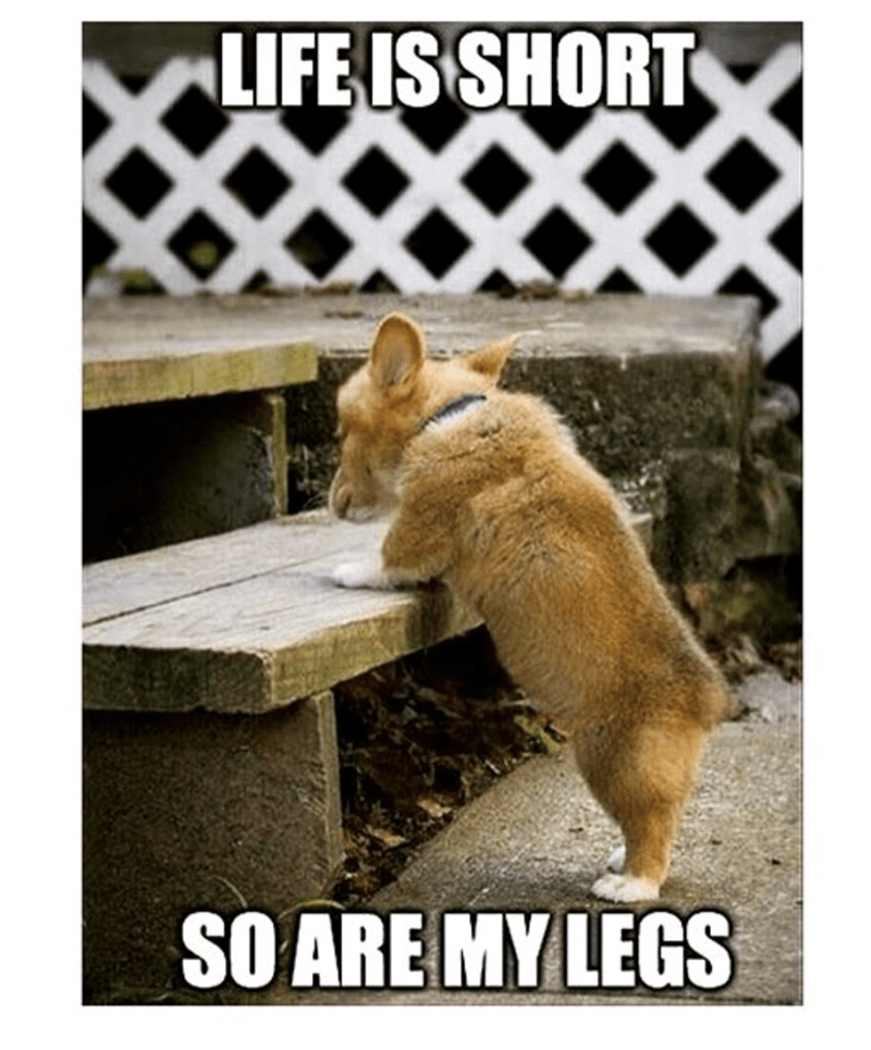 life-is-short-so-are-my-legs