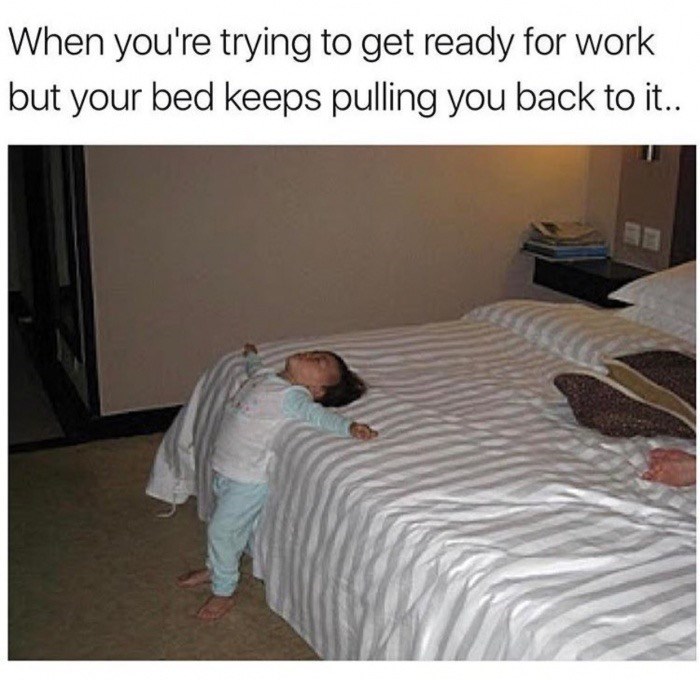 trying-get-ready-work-but-bed-keeps-pulling-back