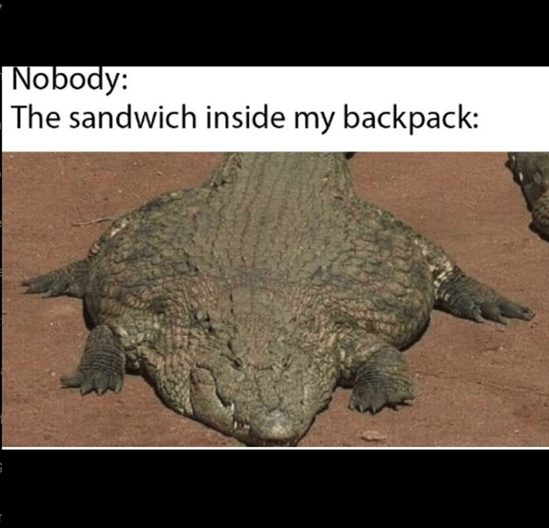 nobody-sandwich-inside-my-backpack