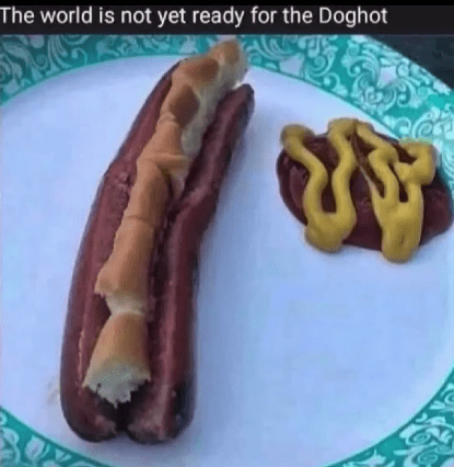 world-is-not-yet-ready-doghot