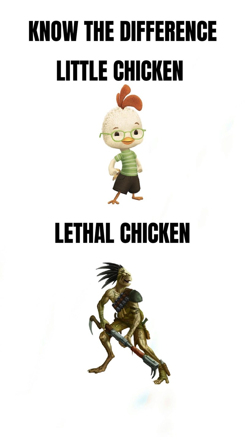 animal-know-difference-little-chicken-lethal-chicken
