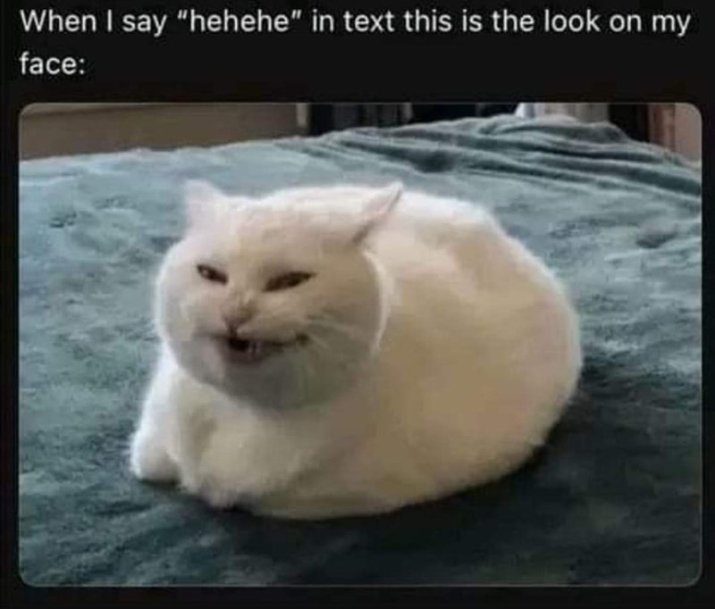 say-hehehe-text-this-is-look-on-my-face