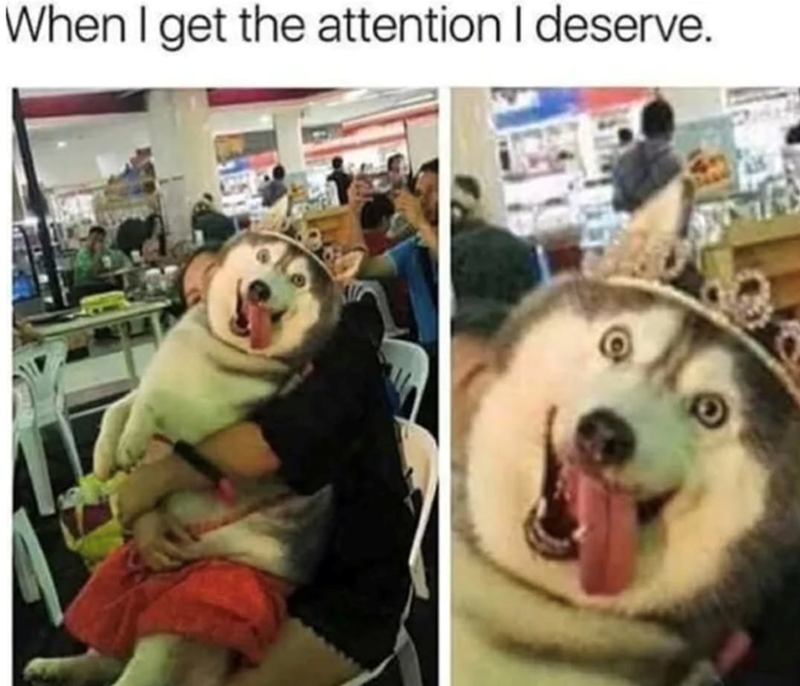 get-attention-deserve
