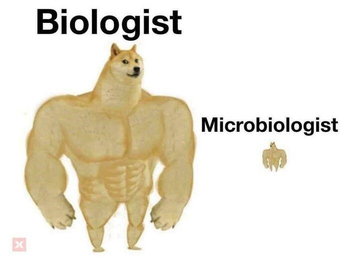 x-biologist-microbiologist