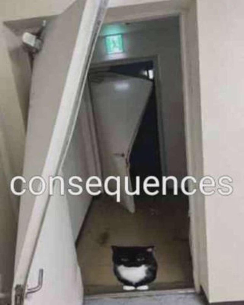 consequences