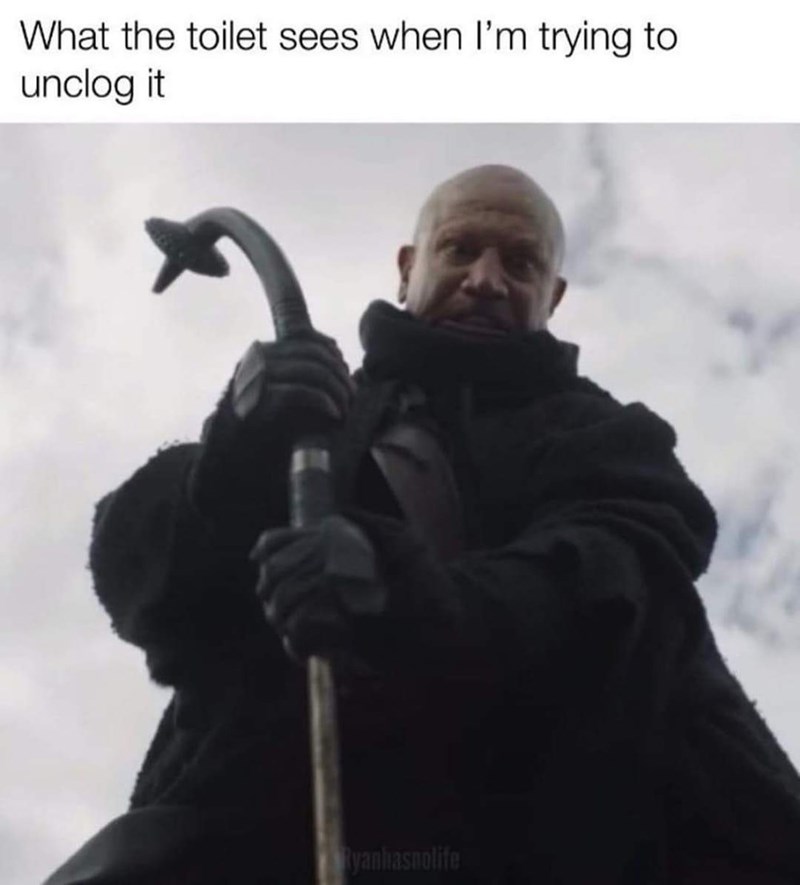 toilet-sees-trying-unclog-ryanhasnolife