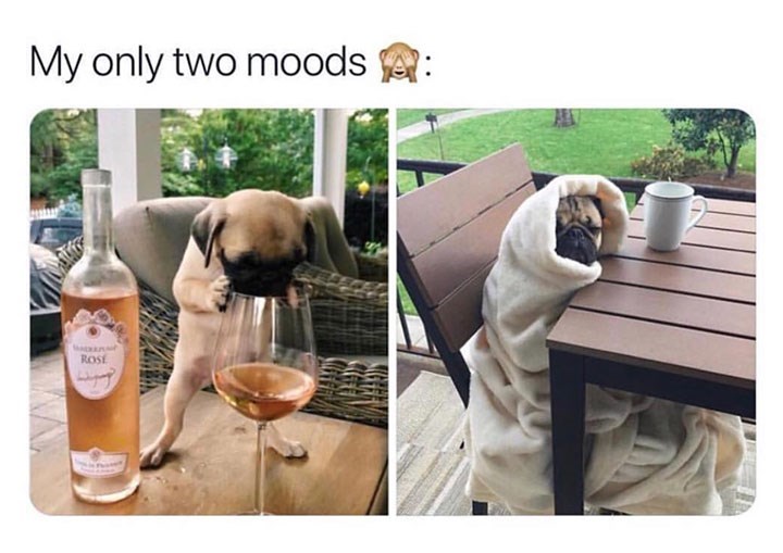 packaged-goods-my-only-two-moods-rose