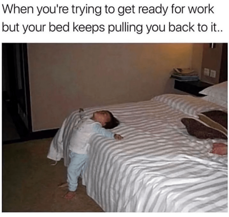 trying-get-ready-work-but-bed-keeps-pulling-back