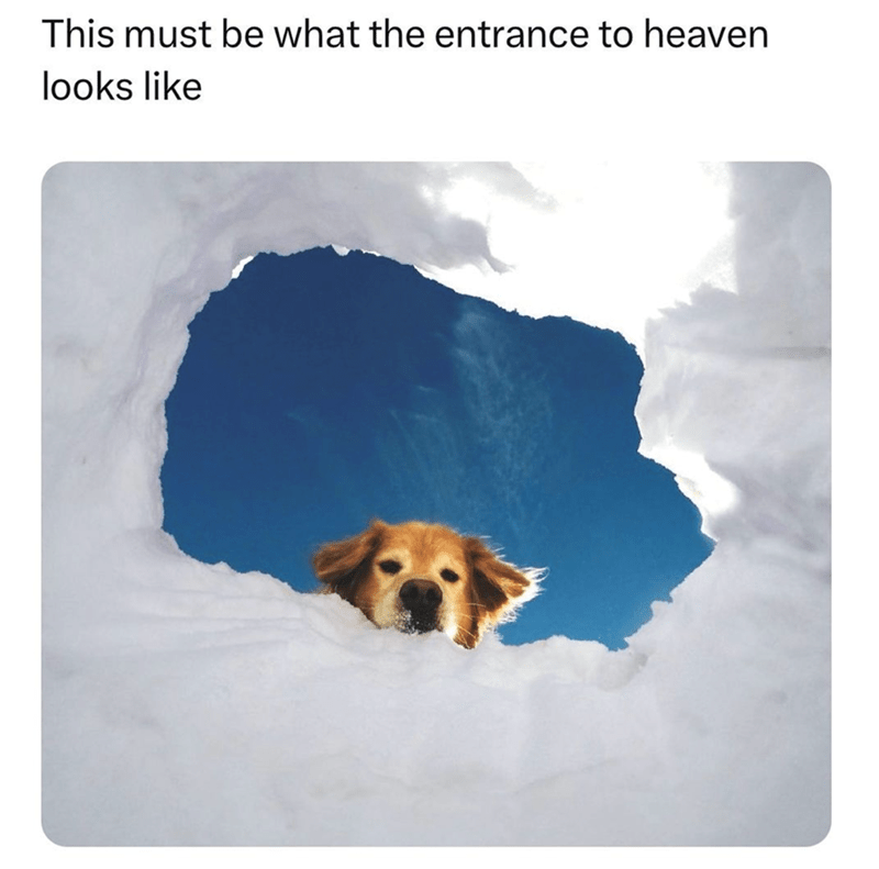 this-must-be-entrance-heaven-looks-like