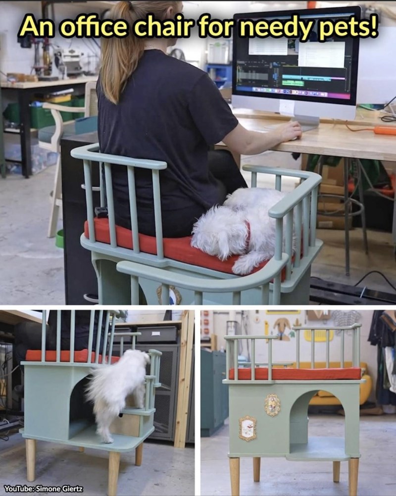 an-office-chair-needy-pets-youtube-simone-giertz