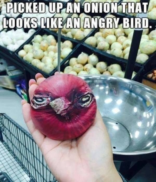 picked-up-an-onion-looks-like-an-angry-bird