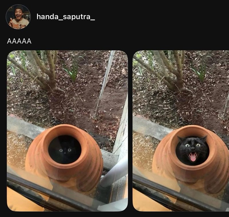 aaaaa-handa_saputra_