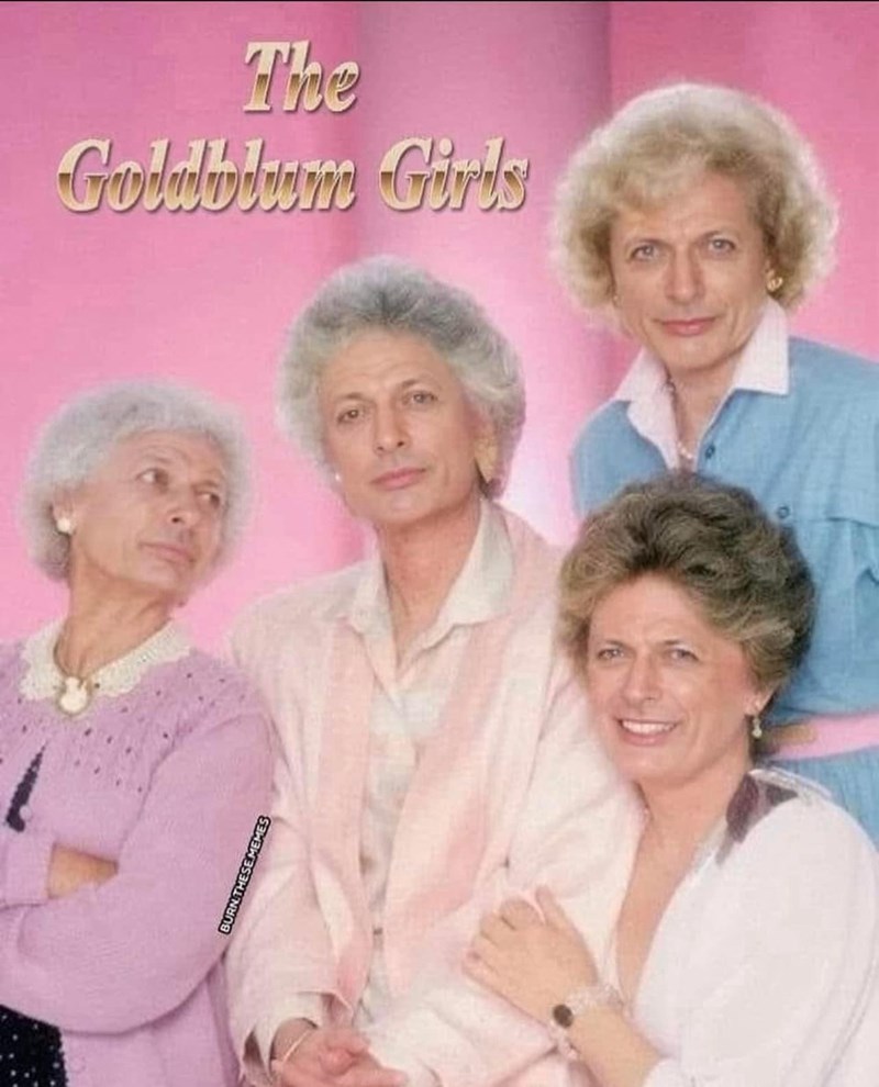 burn-these-memes-goldblume-girls