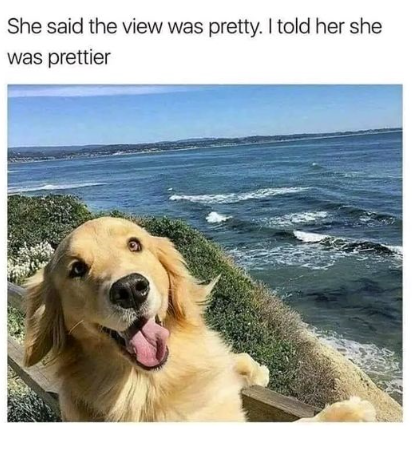 she-said-view-pretty-told-her-she-prettier