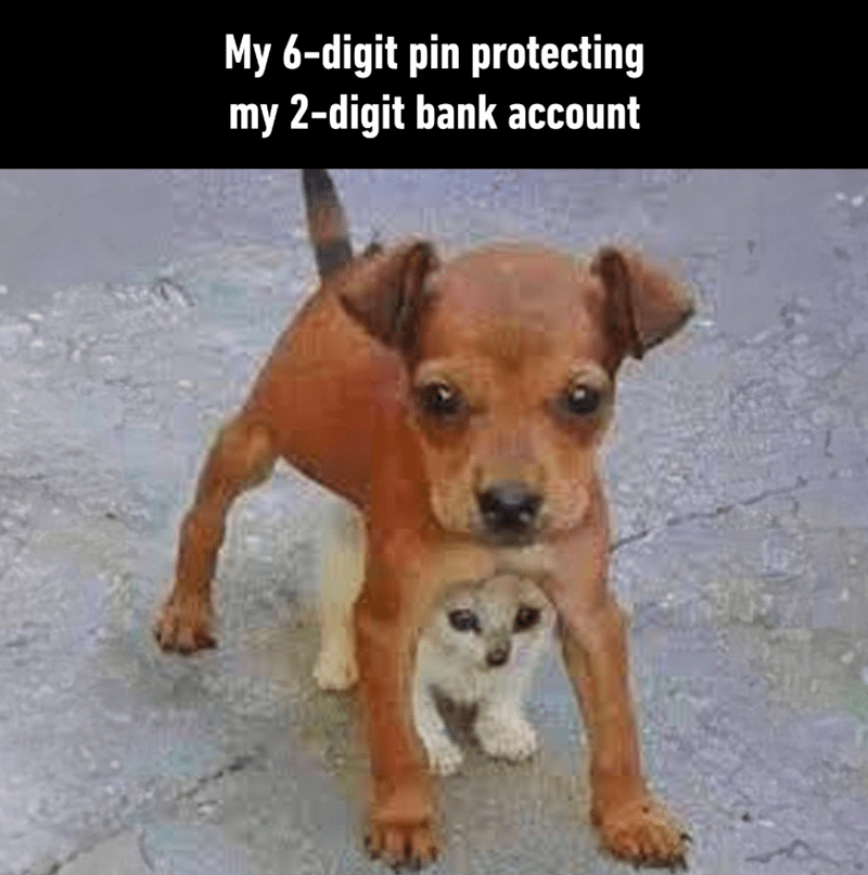 my-6-digit-pin-protecting-my-2-digit-bank-account