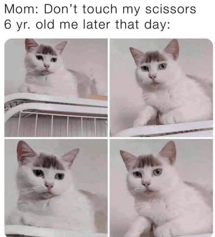 mom-dont-touch-my-scissors-6-yr-old-later-day