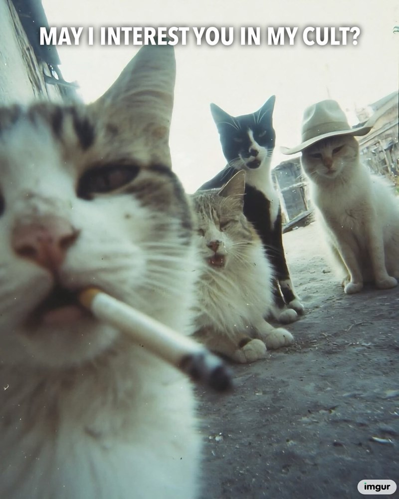 mayi-interest-my-cult-imgur
