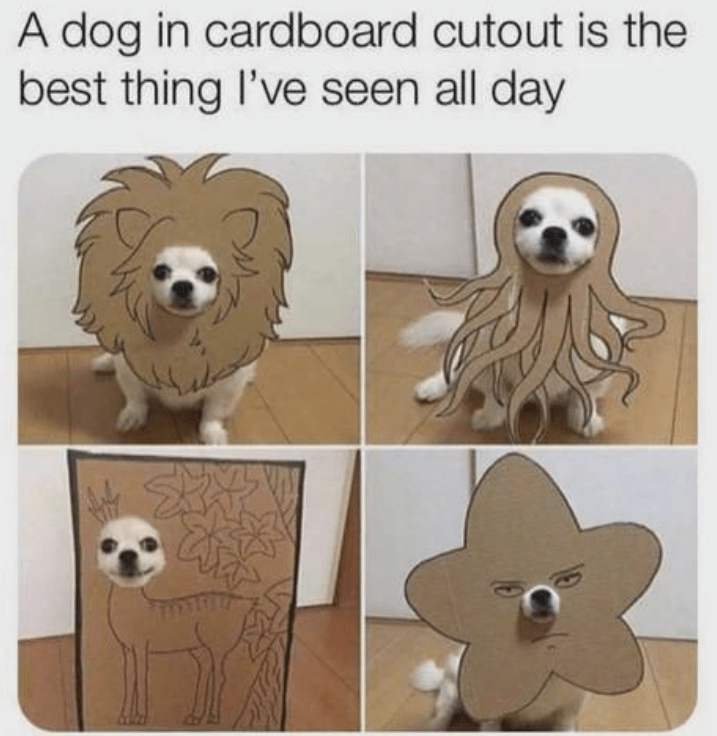 dog-cardboard-cutout-is-best-thing-seen-all-day