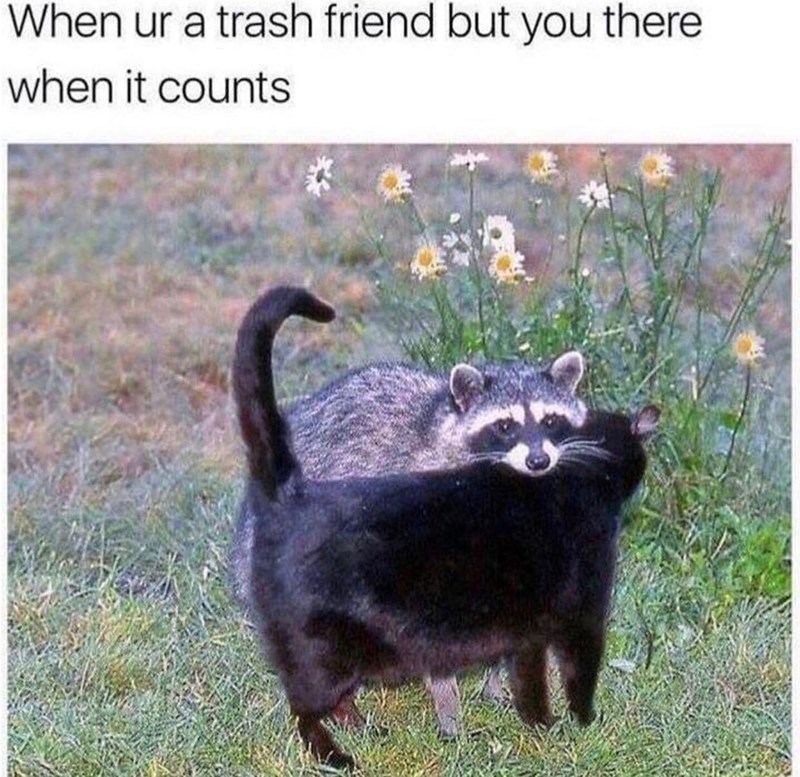 ur-trash-friend-but-there-counts