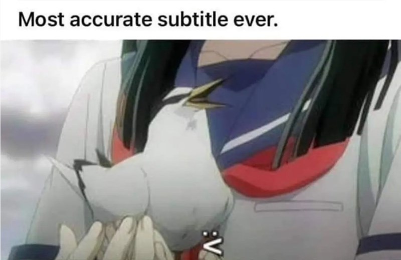 most-accurate-subtitle-ever-v