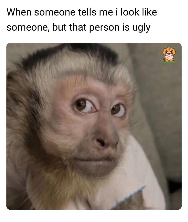 someone-tells-look-like-someone-but-person-is-ugly