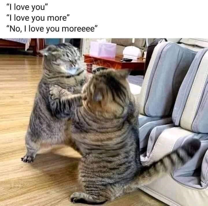 love-love-more-no-love-moreeee