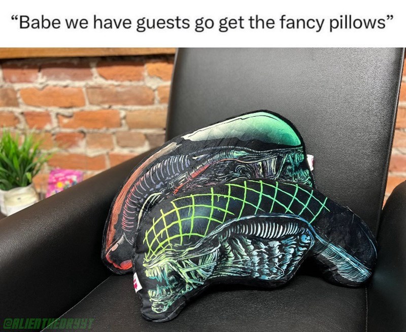 babe-have-guests-go-get-fancy-pillows-alientheoryyt