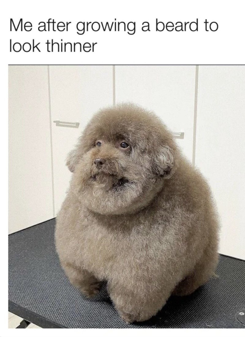 after-growing-beard-look-thinner