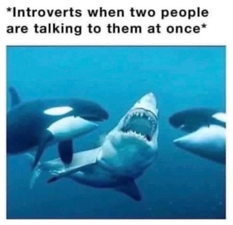introverts-two-people-are-talking-them-at-once