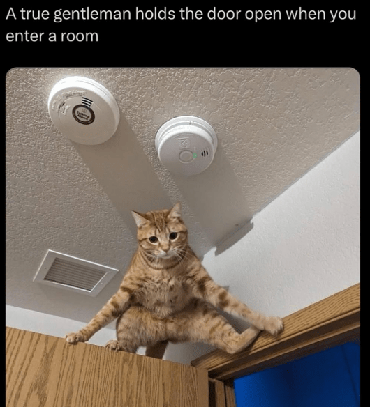 true-gentleman-holds-door-open-enter-room