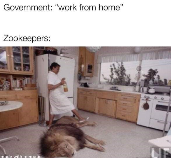 government-work-home-zookeepers-made-with-mematic