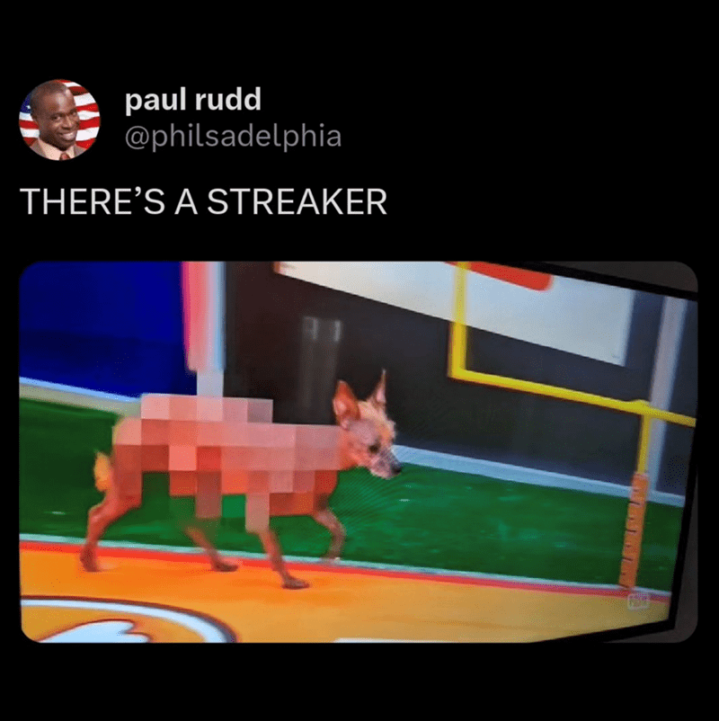 paul-rudd-philsadelphia-theres-streaker-705