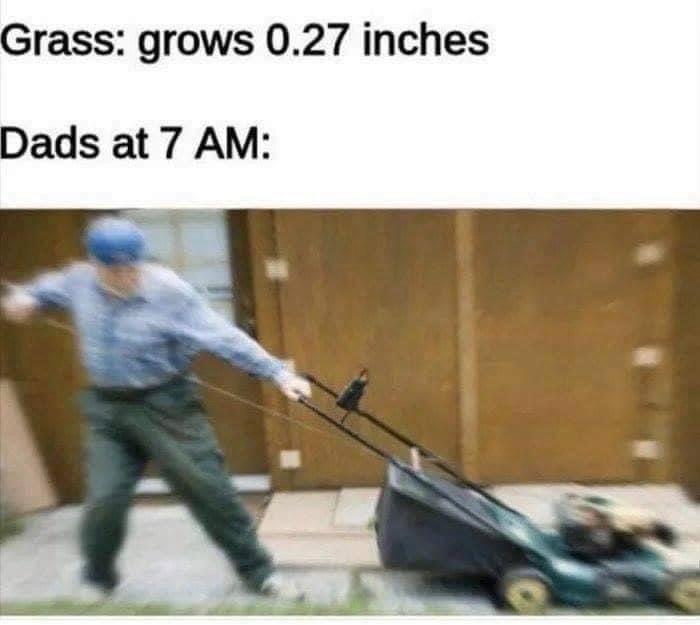 grass-grows-027-inches-dads-at-7-am