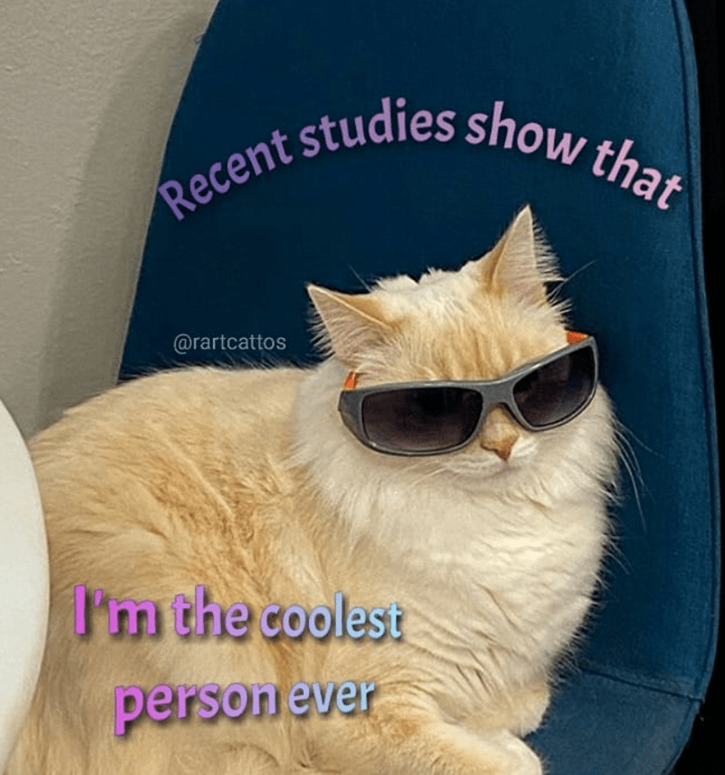 recent-studies-show-rartcattos-coolest-person-ever