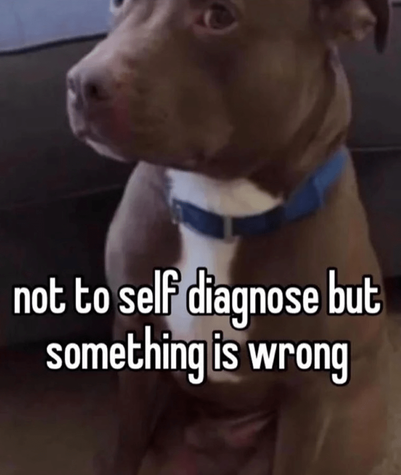 not-self-diagnose-but-something-is-wrong
