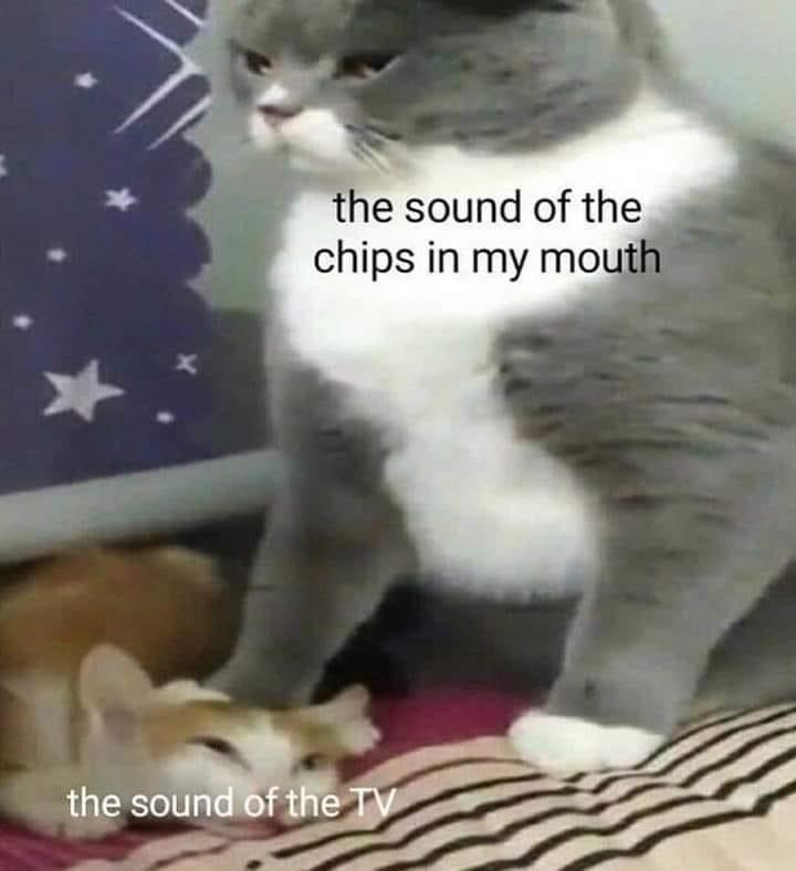 sound-chips-my-mouth-sound-tv