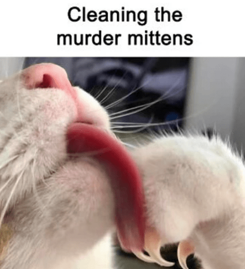 cleaning-murder-mittens
