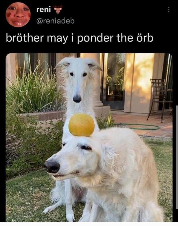 reni-reniadeb-br%C3%B6ther-may-ponder-rb