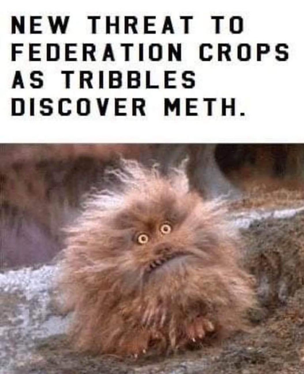omc4jyhmx9t61.jpg