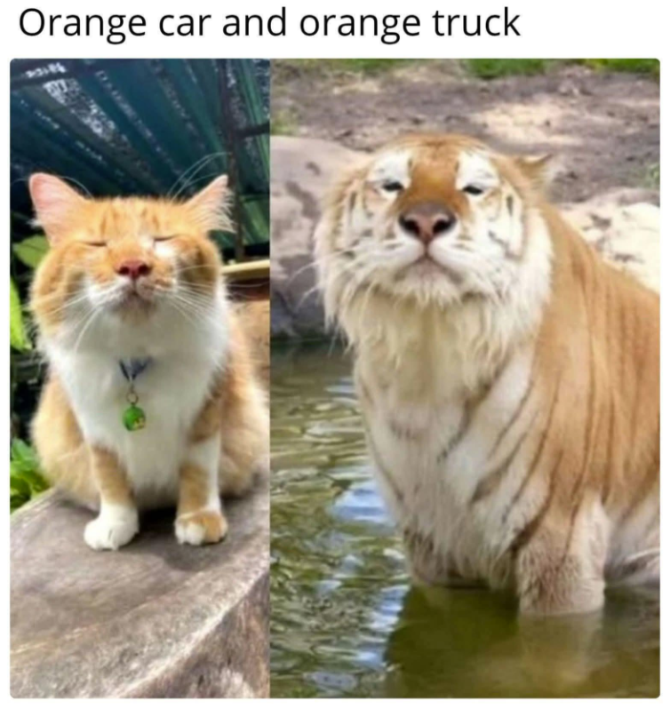 orange-car-and-orange-truck