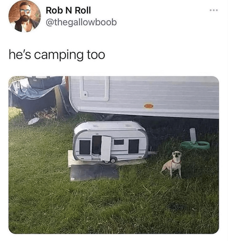rob-n-roll-thegallowboob-hes-camping-too-000