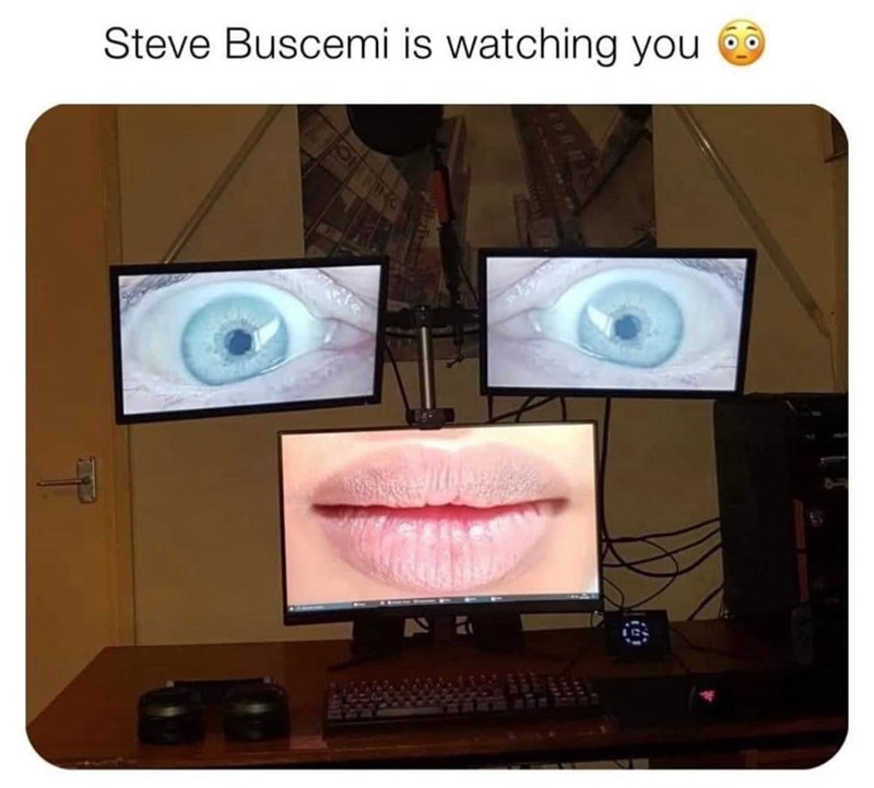 steve-buscemi-is-watching