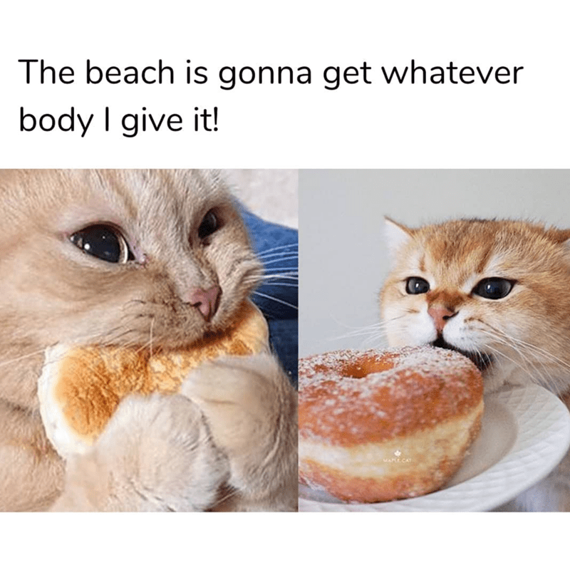 beach-is-gonna-get-whatever-body-give-maplecat