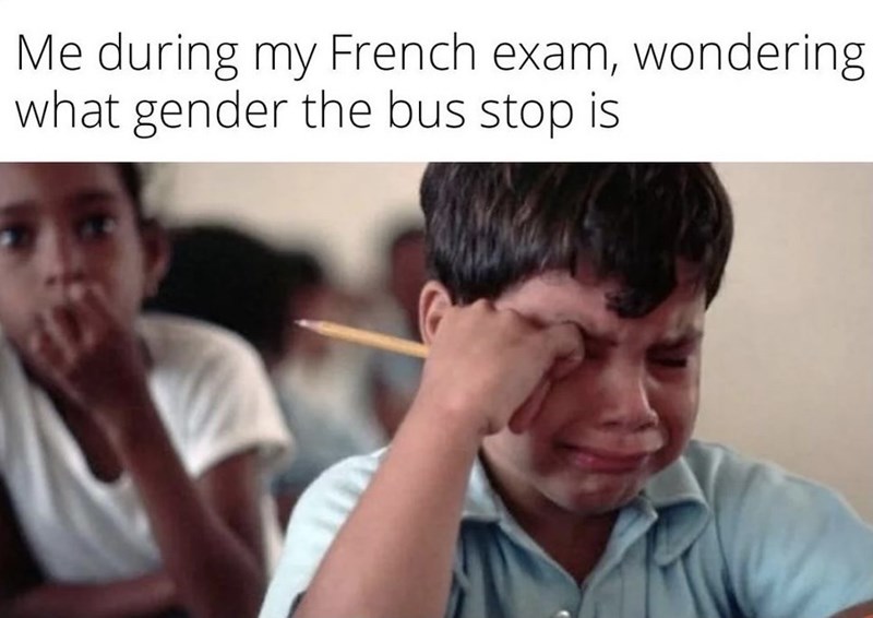 during-my-french-exam-wondering-gender-bus-stop-is