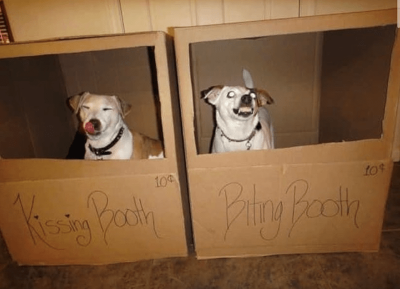 10-kissing-booth-biting-booth-104