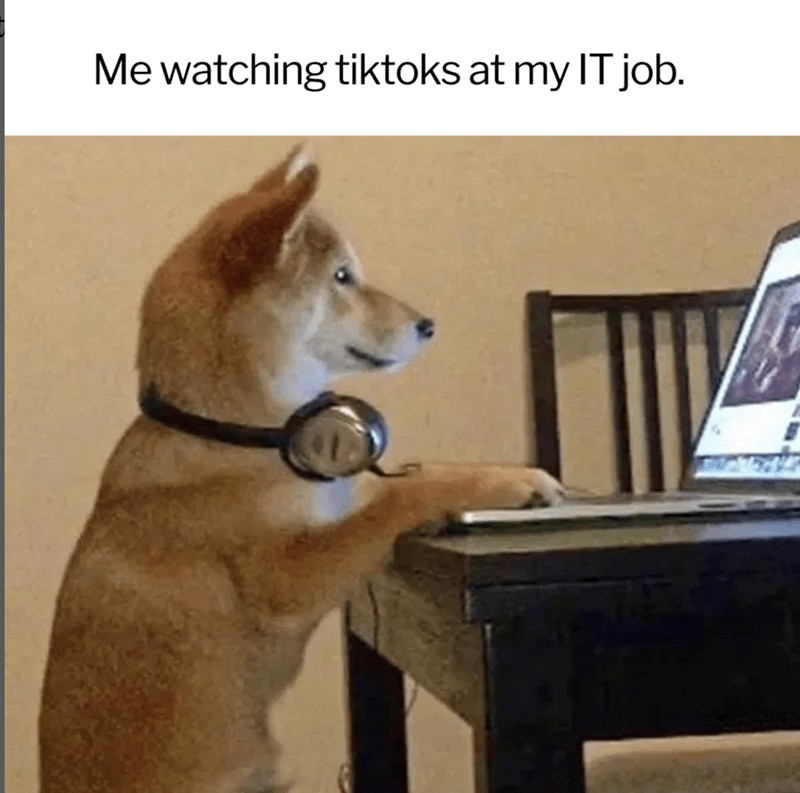 watching-tiktoks-at-my-job