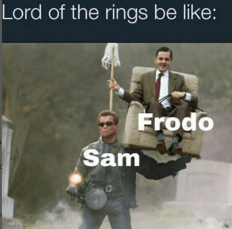lord-rings-be-like-sam-frodo