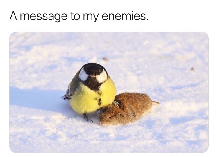 message-my-enemies